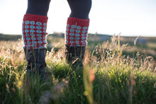 Load image into Gallery viewer, Wool Journey: Shetland