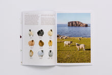 Load image into Gallery viewer, Wool Journey: Shetland