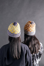 Load image into Gallery viewer, Moon and Turtle: Knitting Patterns with Variations